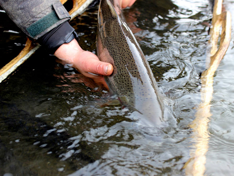 BC Trout Fishing Package, Northern Outback Adventures